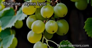Discover the essence of remaining in Christ and bearing fruit as His disciples in "The Vine" hymn. Explore the metaphor of the vine and its branches and the importance of staying connected to Him.