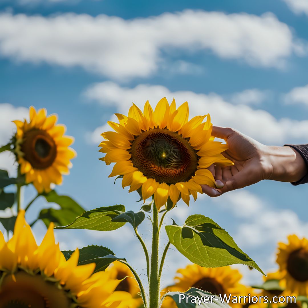 Freely Shareable Hymn Inspired Image Experience the joy of giving and spreading kindness with Blessings Like Sunshine Fall On Our Way. Embrace the power of small acts of compassion and bring happiness to others.