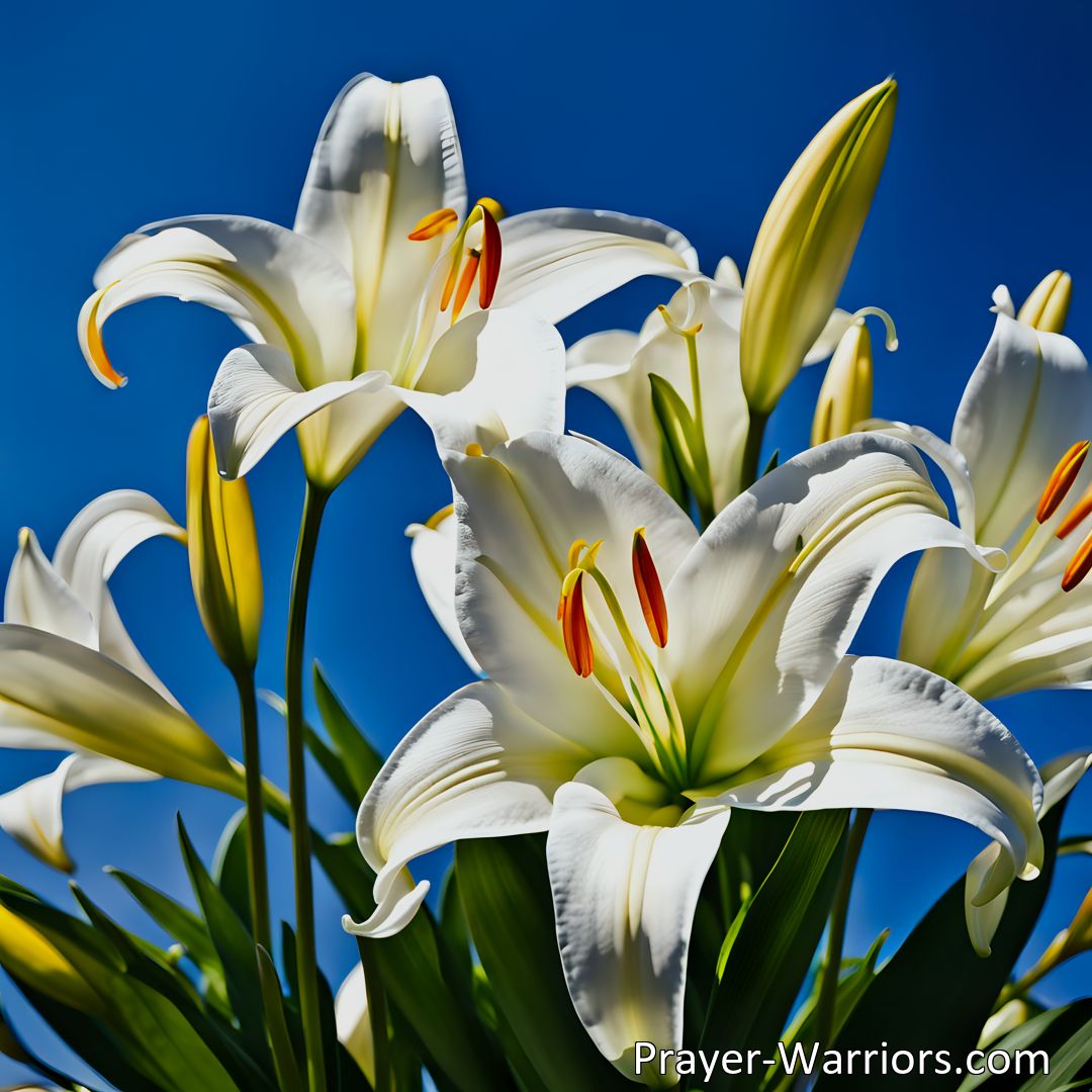 Freely Shareable Hymn Inspired Image Celebrate Easter with pure and lovely Easter lilies! Symbolizing Christ's resurrection, these beautiful flowers bring hope and new life. Share the joy and tell the little children about our risen Savior. He is risen! He is risen!