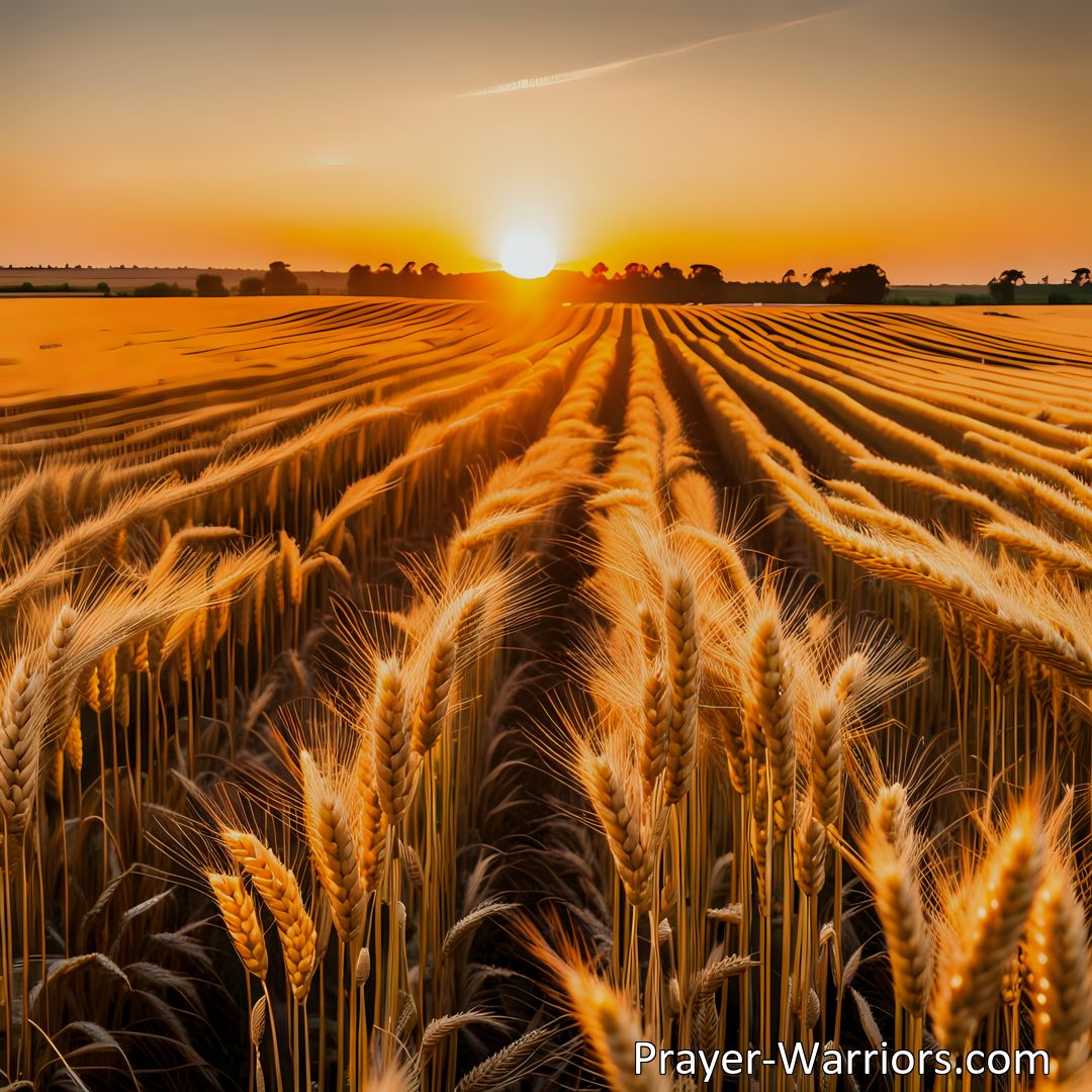 Freely Shareable Hymn Inspired Image Go Labor In The Harvest Field: Embrace the Call to Work and Reap Rewards. Discover the Meaning and Significance of Laboring in Your Own Life and Making a Positive Impact on Others. Find Fulfillment in Bringing Forth Golden Sheaves.