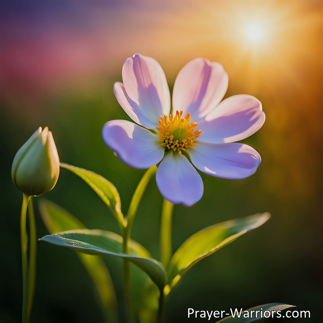 Freely Shareable Hymn Inspired Image Find solace and comfort in life's transient moments with So Fades The Lovely Blooming Flower. Embrace the beauty of the fleeting and discover everlasting solace.