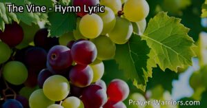 Discover the essence of remaining in Christ and bearing fruit as His disciples in "The Vine" hymn. Explore the metaphor of the vine and its branches and the importance of staying connected to Him.