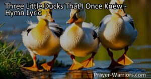 Discover the heartwarming story of three little ducks that captured the town's hearts. From their unique qualities to their unwavering friendship