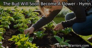 Discover the profound wisdom of growth and transformation in "The Bud Will Soon Become A Flower". Embrace the present moment and sow seeds of love and compassion for a fulfilling harvest.